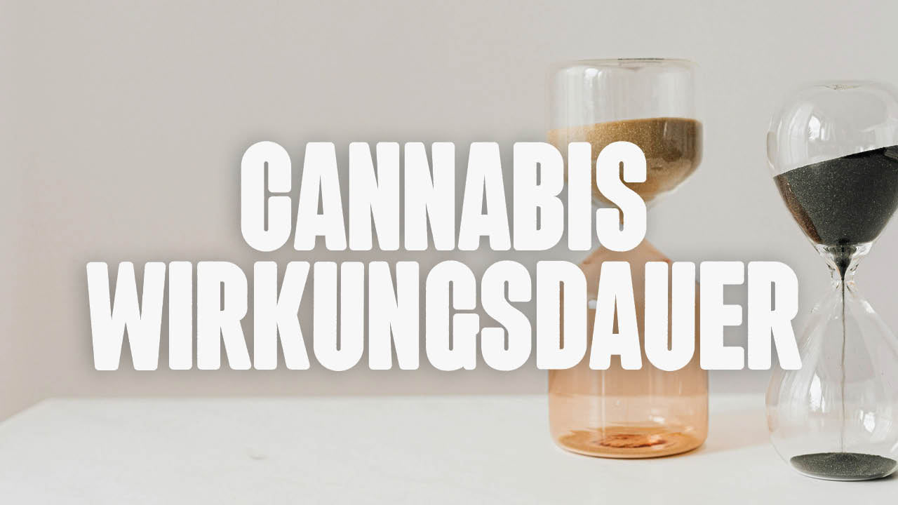 Cannabis Wirkungsdauer - Was du wissen musst - Happy420.de