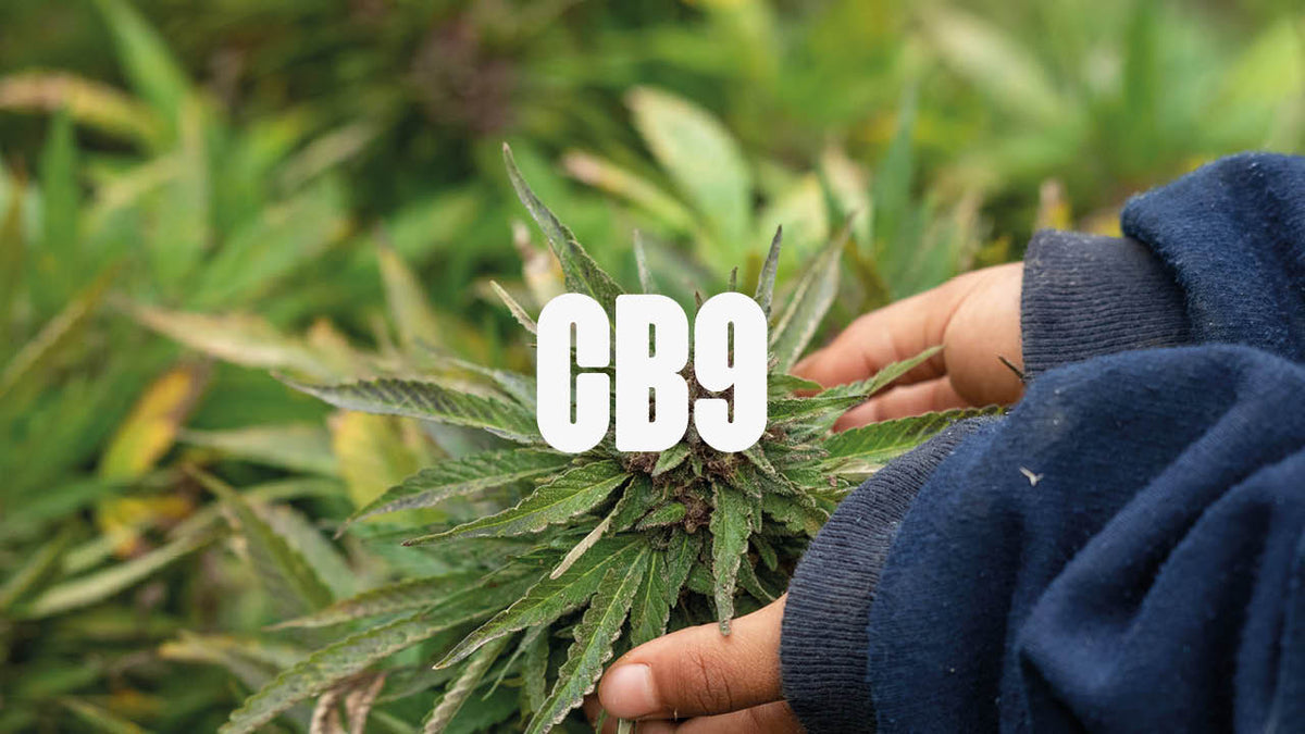 CB9 - Alle wichtigen Infos auf einem Blick - Happy420.de