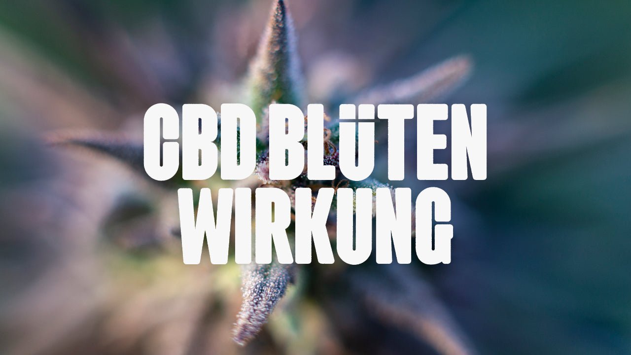 CBD Blüten Wirkung - Happy420.de