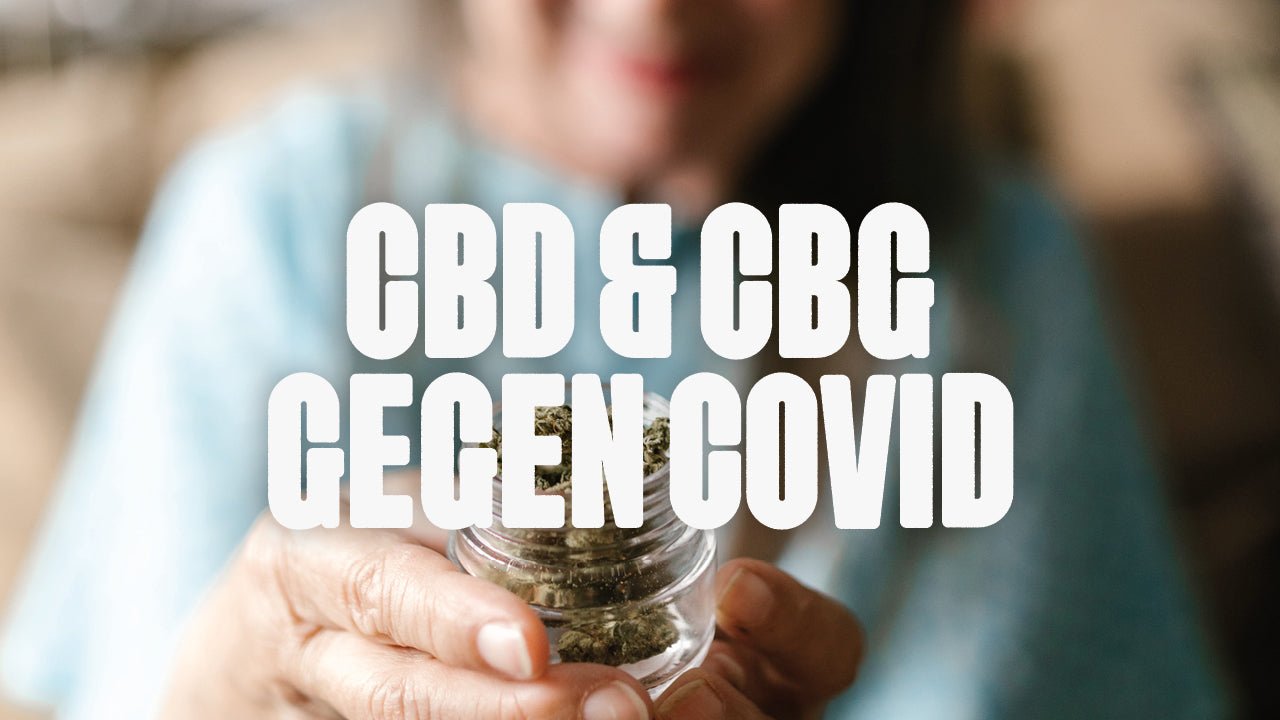 CBD & CBG als Wunderwaffen gegen COVID-19 - Happy420.de