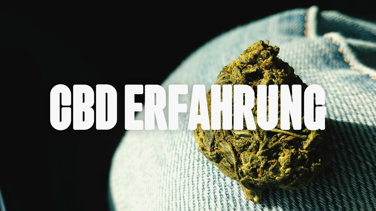 CBD Erfahrung