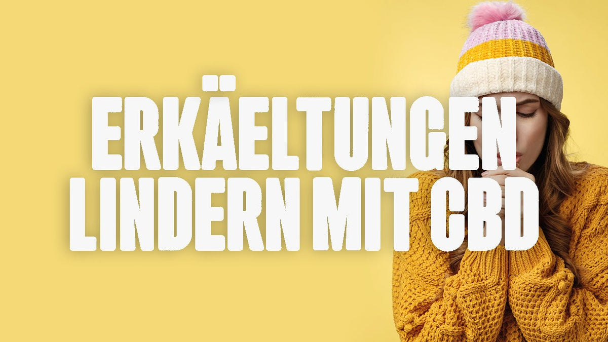 CBD gegen Erkältungen - Happy420.de