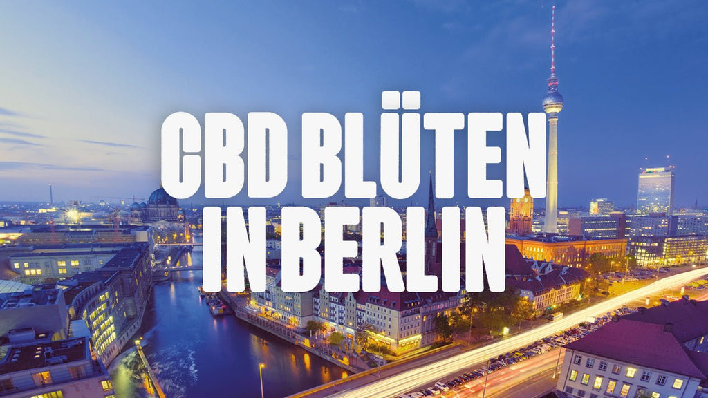 CBD in Berlin | Was sind die beliebtesten Marken von CBD Blüten, die in Berlin erhältlich sind? - Happy420.de