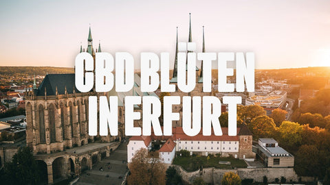erfurt vape shop GeekVape S100 (Aegis Solo 2) Kit main image 1