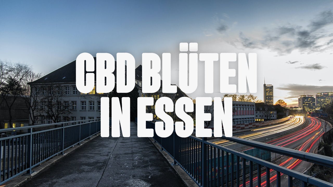 CBD in Essen | Was sind die beliebtesten Marken von CBD Blüten, die in Essen erhältlich sind? - Happy420.de