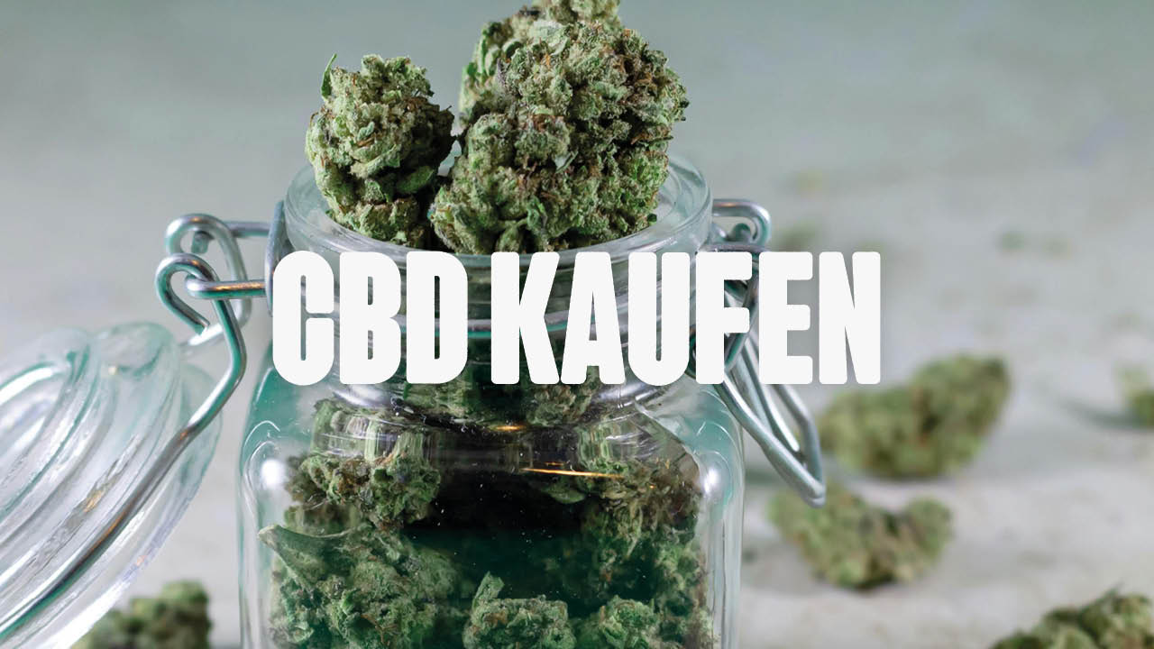 CBD kaufen