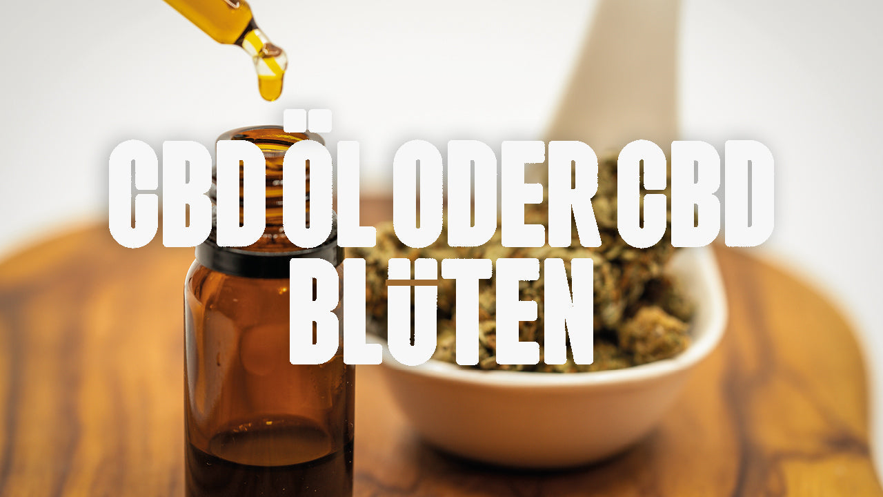 CBD Öl oder CBD Blüten