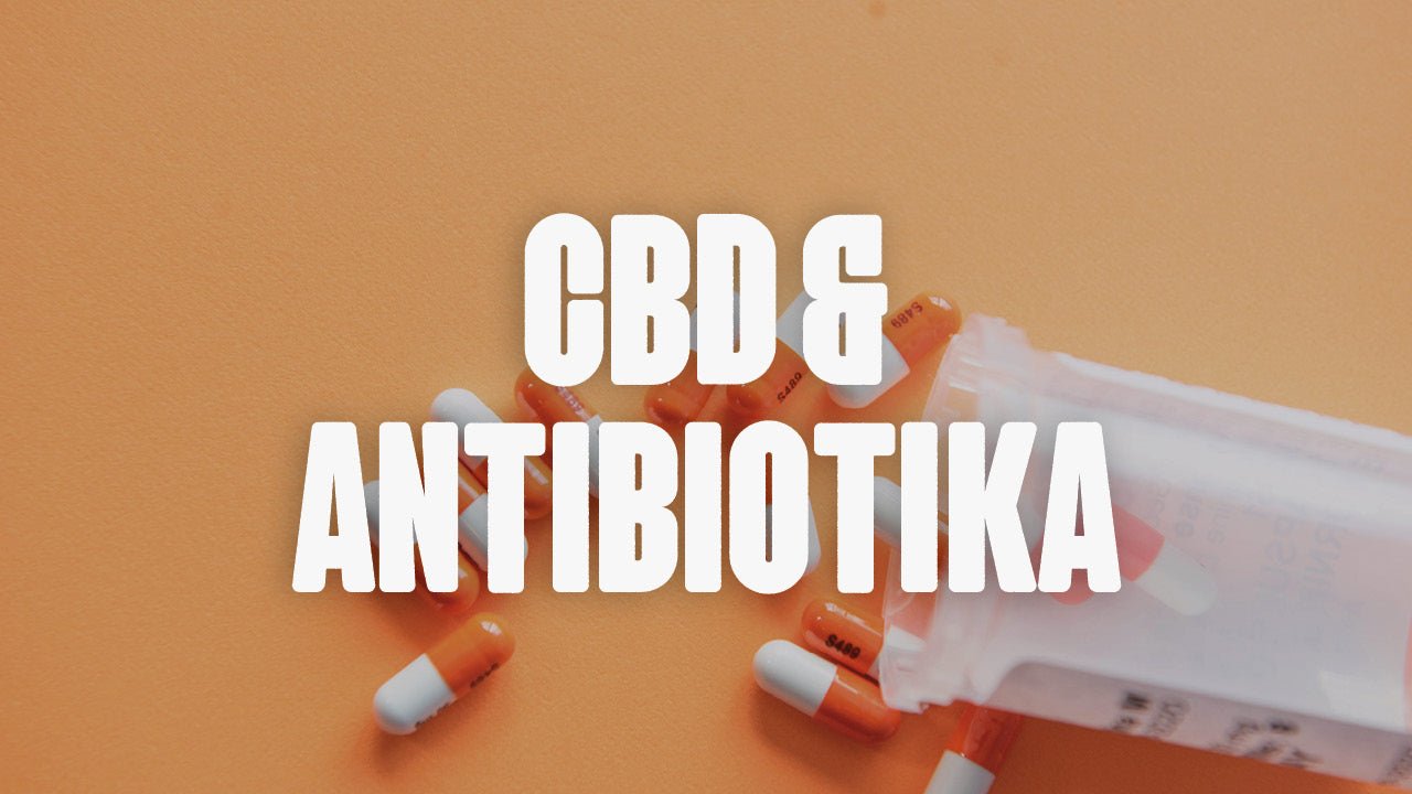 CBD und Antibiotikaresistenz - Happy420.de