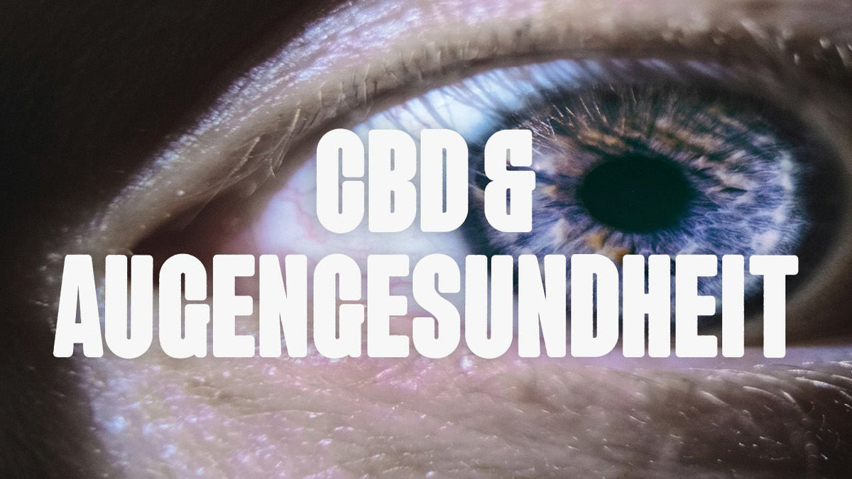 CBD und Augengesundheit - Happy420.de