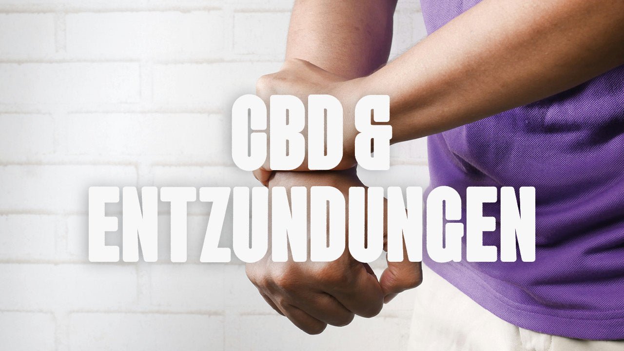 CBD und Entzündungen - Happy420.de