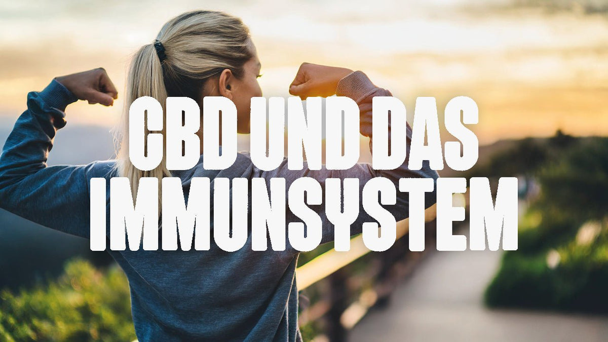 CBD und Immunsystem - Happy420.de