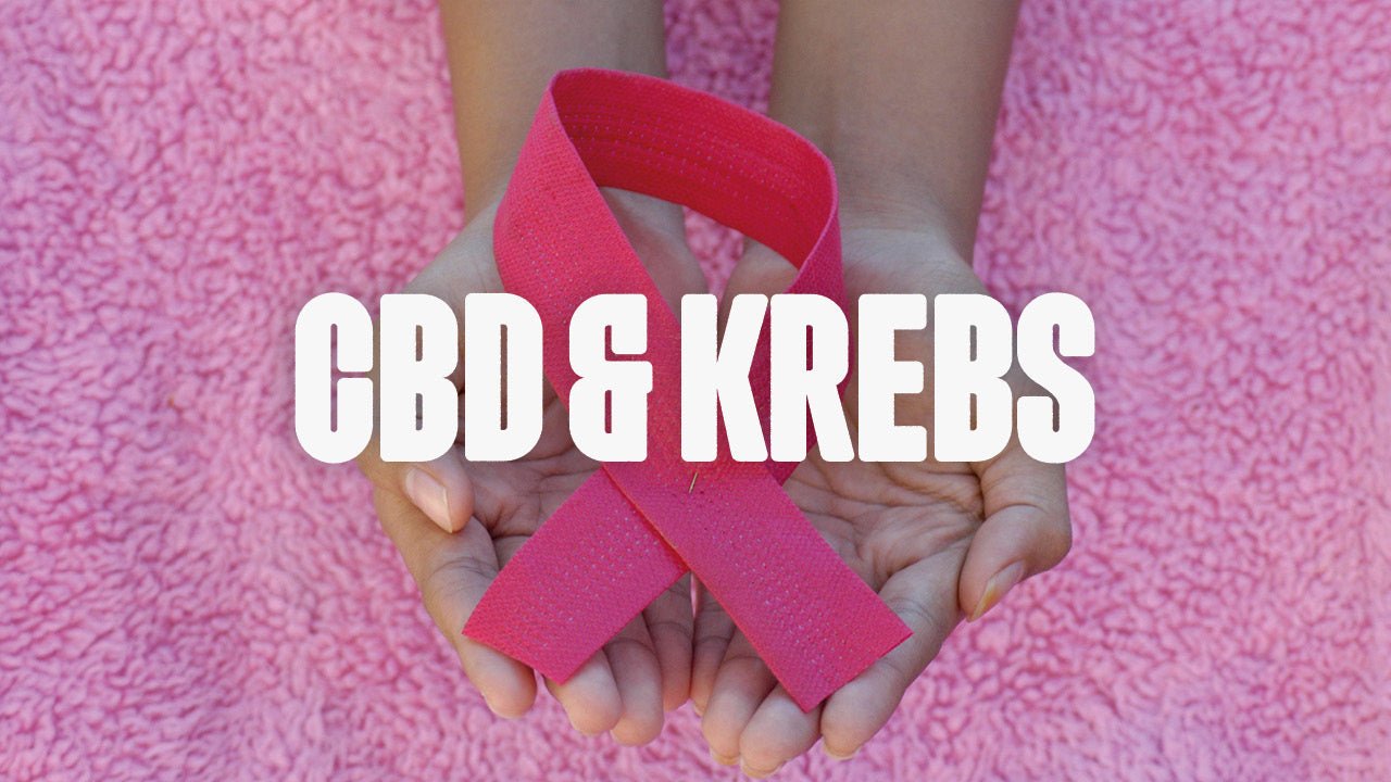 CBD und Krebs - Happy420.de