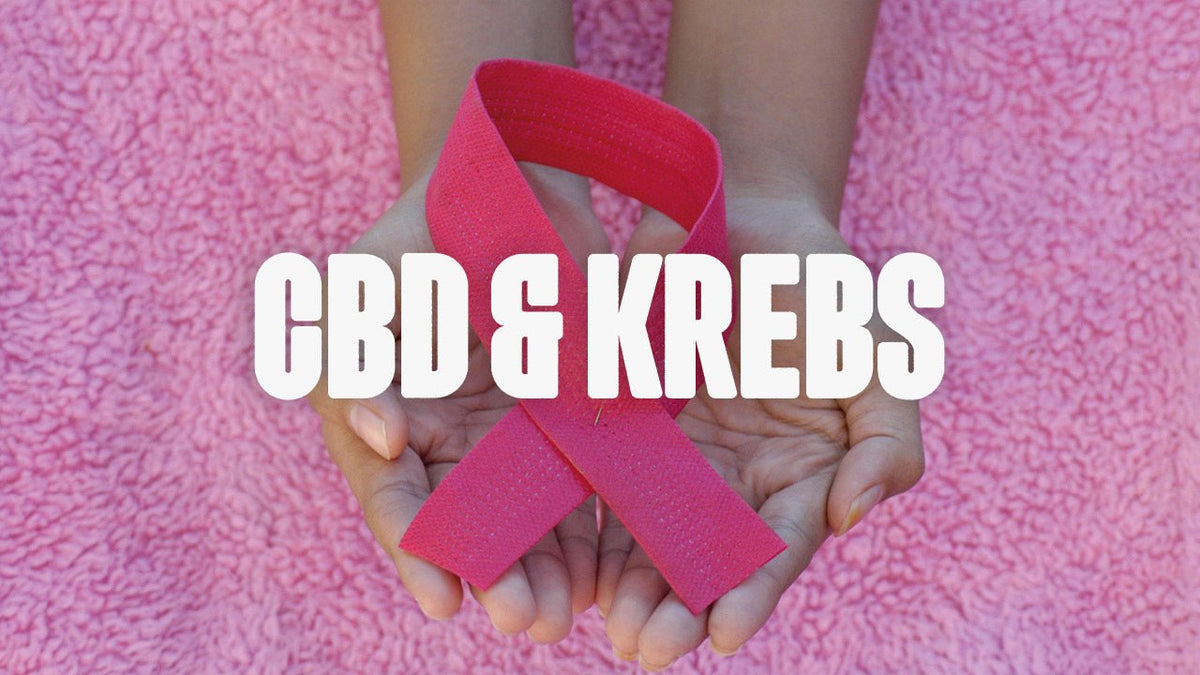 CBD und Krebs - Happy420.de