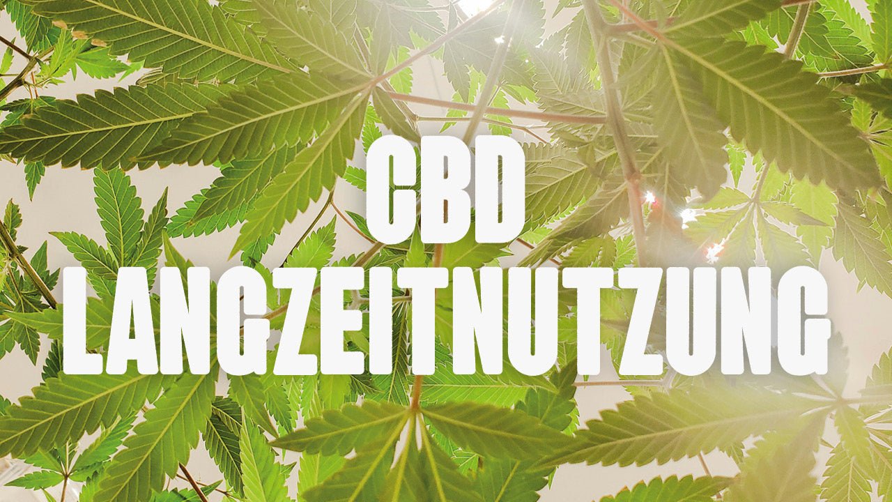 CBD und Langzeitnutzung - Happy420.de