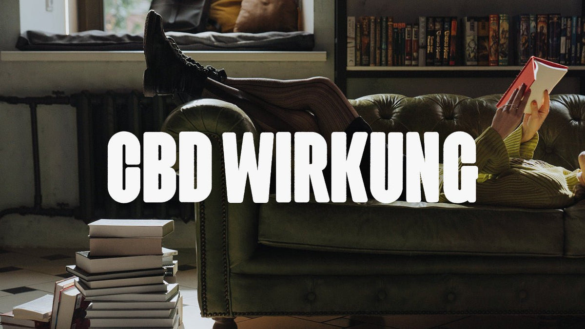 CBD-Wunder: Die umfassende Wirkung von Cannabidiol auf Körper und Geist - Happy420.de