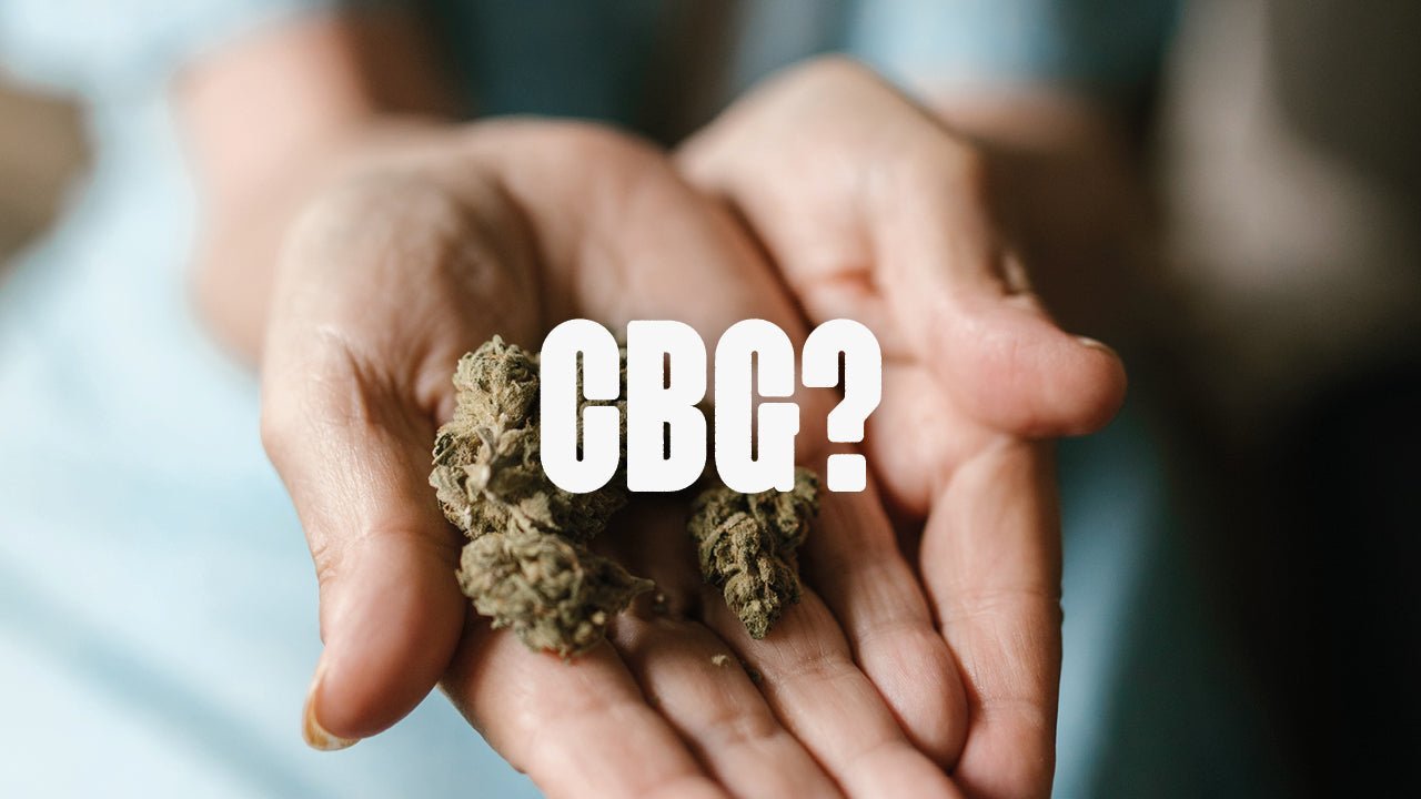 CBG - Das ist die Mutter aller Cannabinoide - Happy420.de
