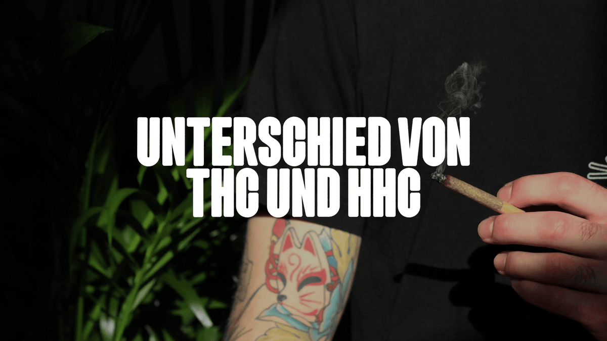 Der Unterschied zwischen THC und HHC: Eine eingehende Analyse der Cannabinoide - Happy420.de