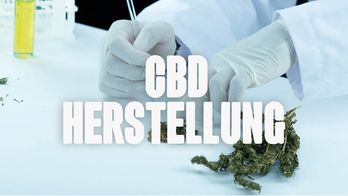 Die Herstellung von CBD: Ein Blick hinter die Kulissen - Happy420.de