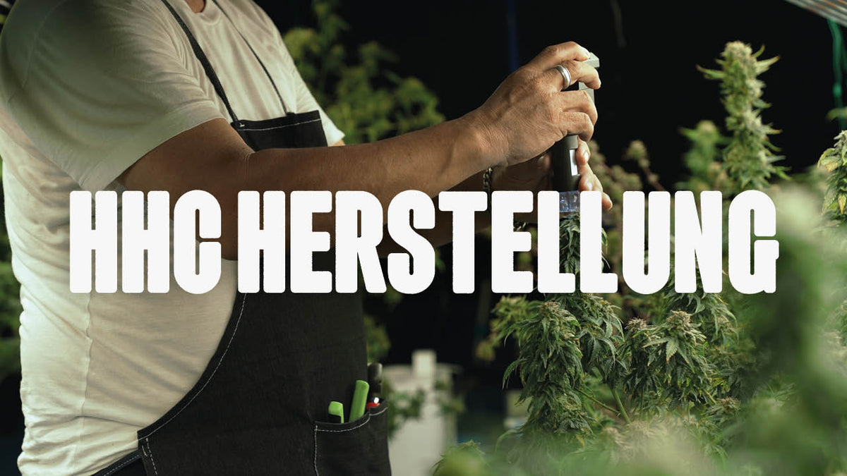 Die Herstellung von HHC - Ein Blick in die Produktion - Happy420.de
