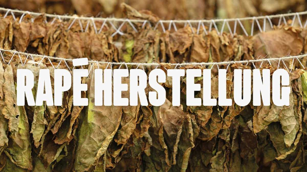 Die Kunst der Rapé-Herstellung: Ein Einblick in Tradition und Praxis - Happy420.de