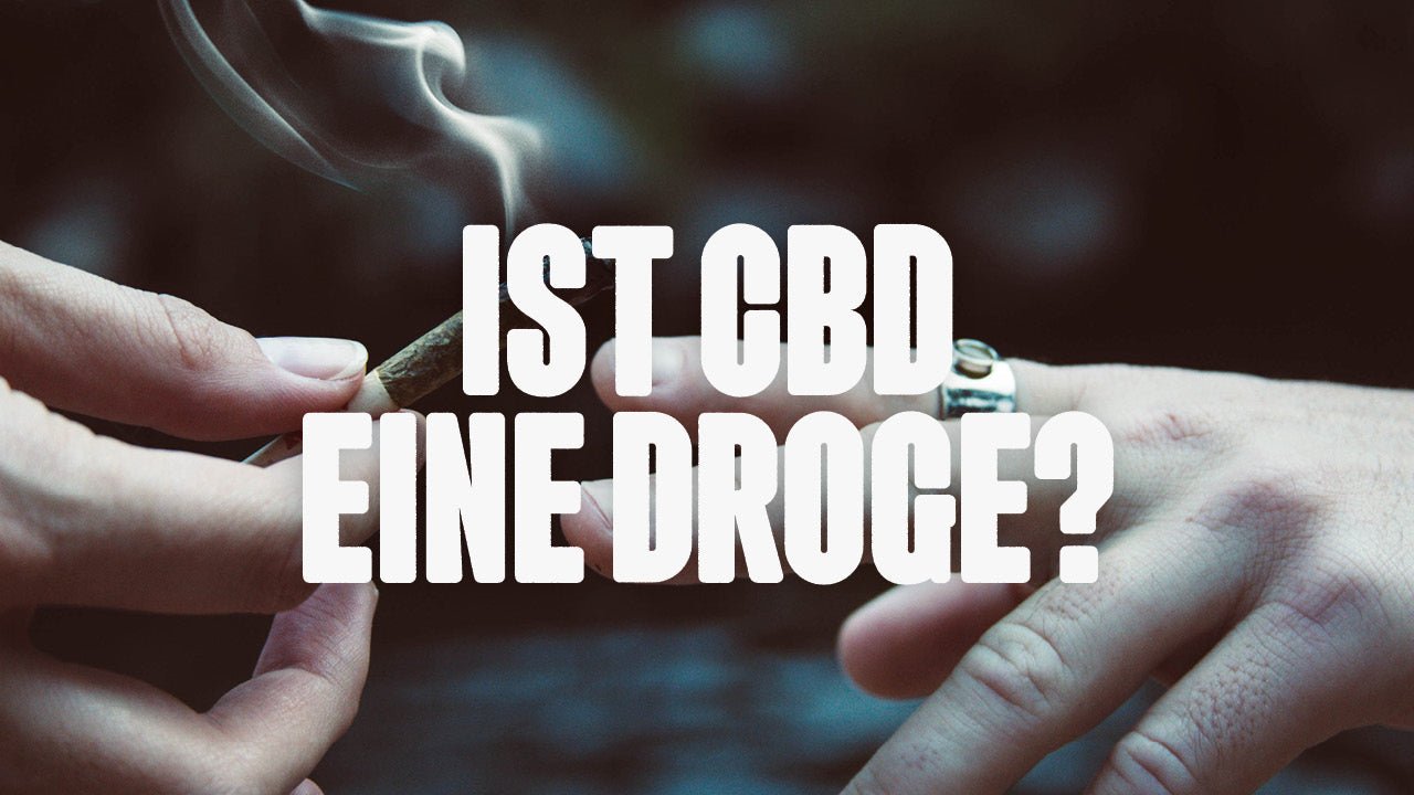 Die Wahrheit über CBD: Ist es wirklich eine Droge? - Happy420.de