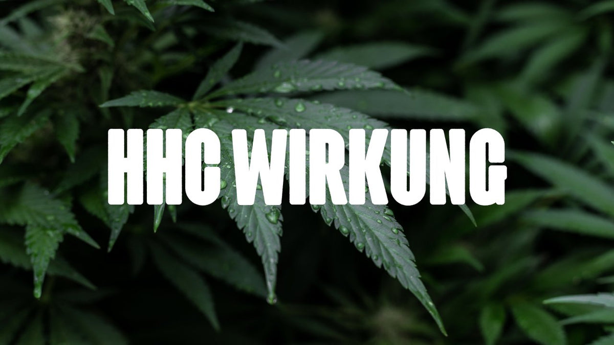 Die Wirkung von HHC: Alles, was du wissen musst - Happy420.de