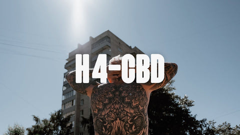 h4 vape wirkung H4-CBD: Unterschiede und Gemeinsamkeiten zu CBD