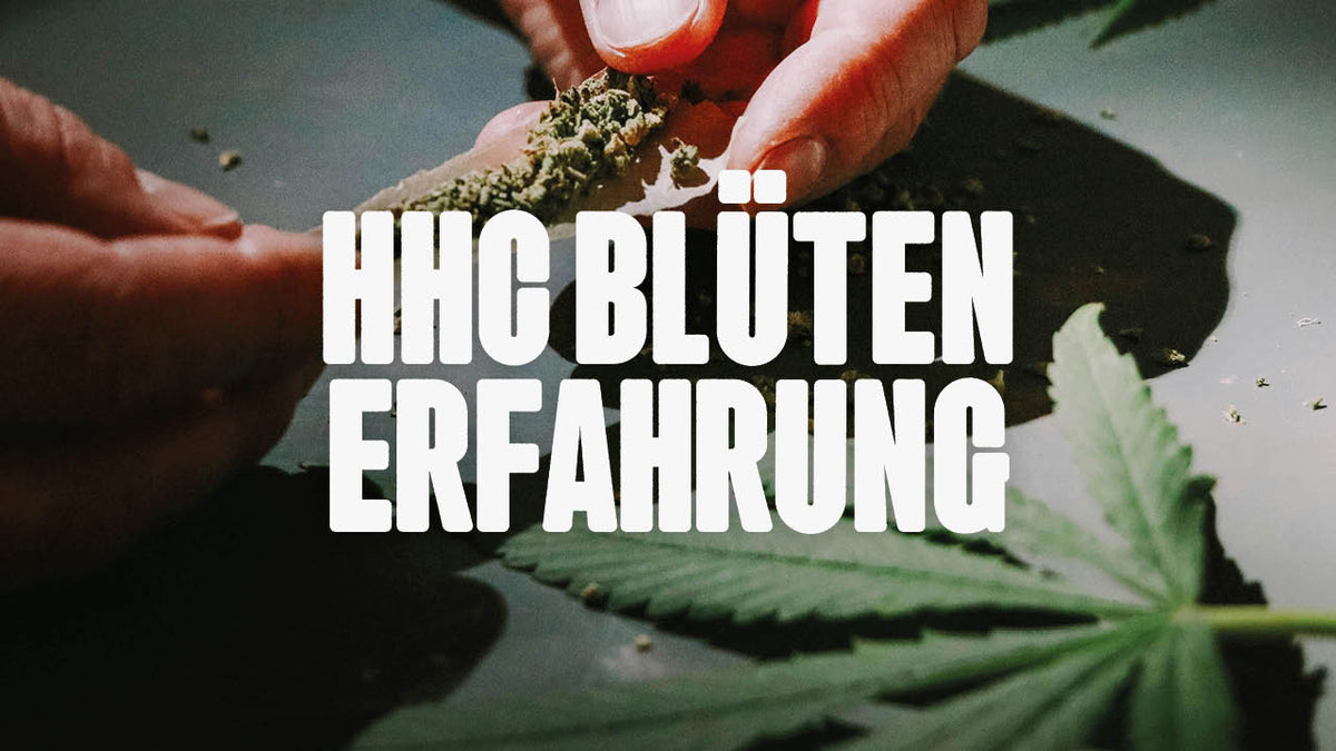 HHC Blüten Erfahrung: Ein persönlicher Erfahrungsbericht - Happy420.de