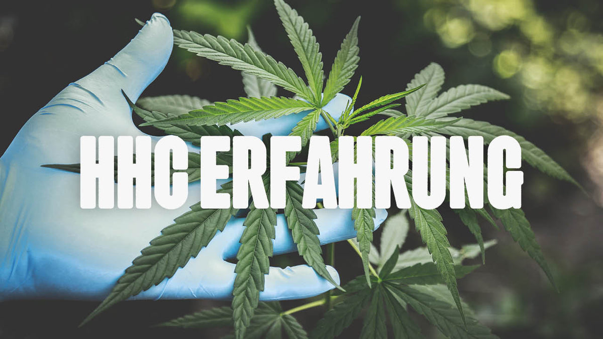 HHC Erfahrung - Wie HHC auf deinen Körper wirken kann - Happy420.de