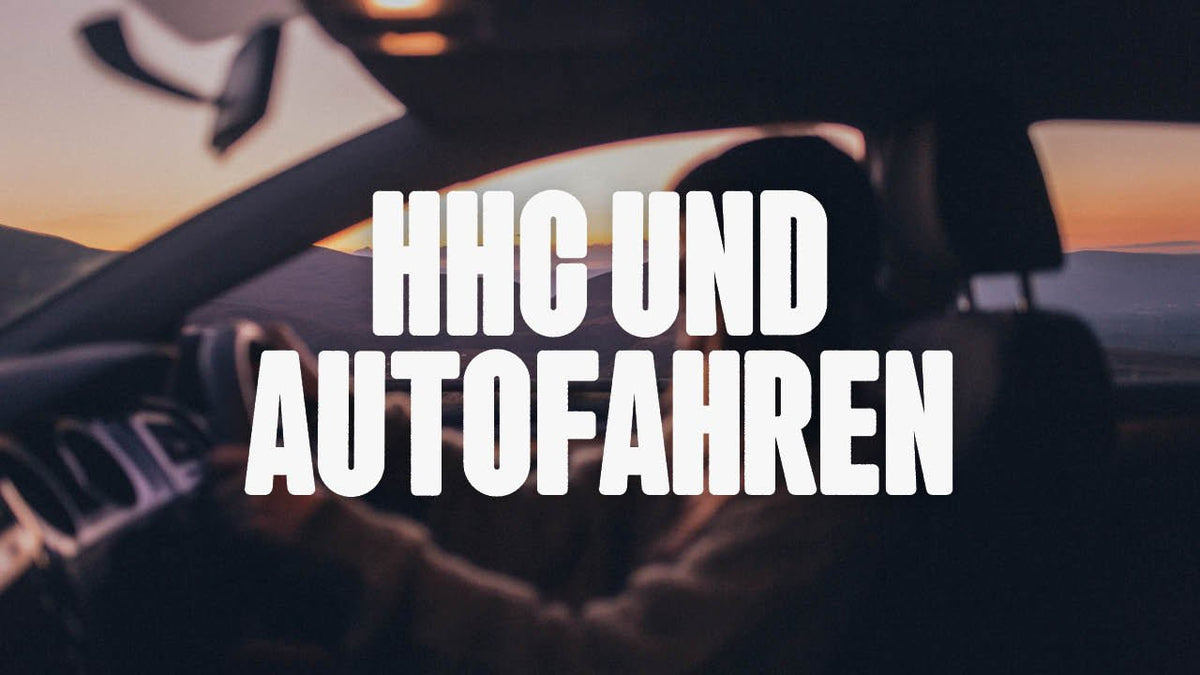 HHC und Autofahren - Was ist erlaubt und was nicht? - Happy420.de