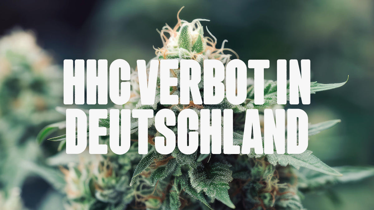 Das HHC Verbot in Deutschland: Das ist die aktuelle Lage | Happy420.de