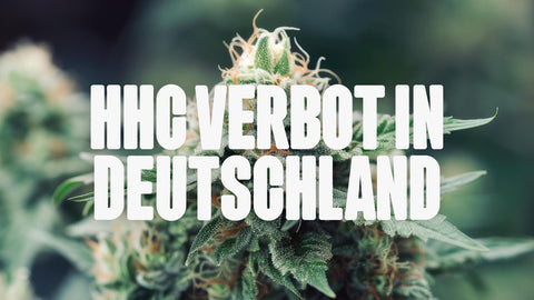 Das HHC Verbot in Deutschland: Das ist die aktuelle Lage | Happy420.de