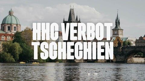 HHC Verbot in Tschechien - Was du ber die Situation wissen musst |  Happy420.de