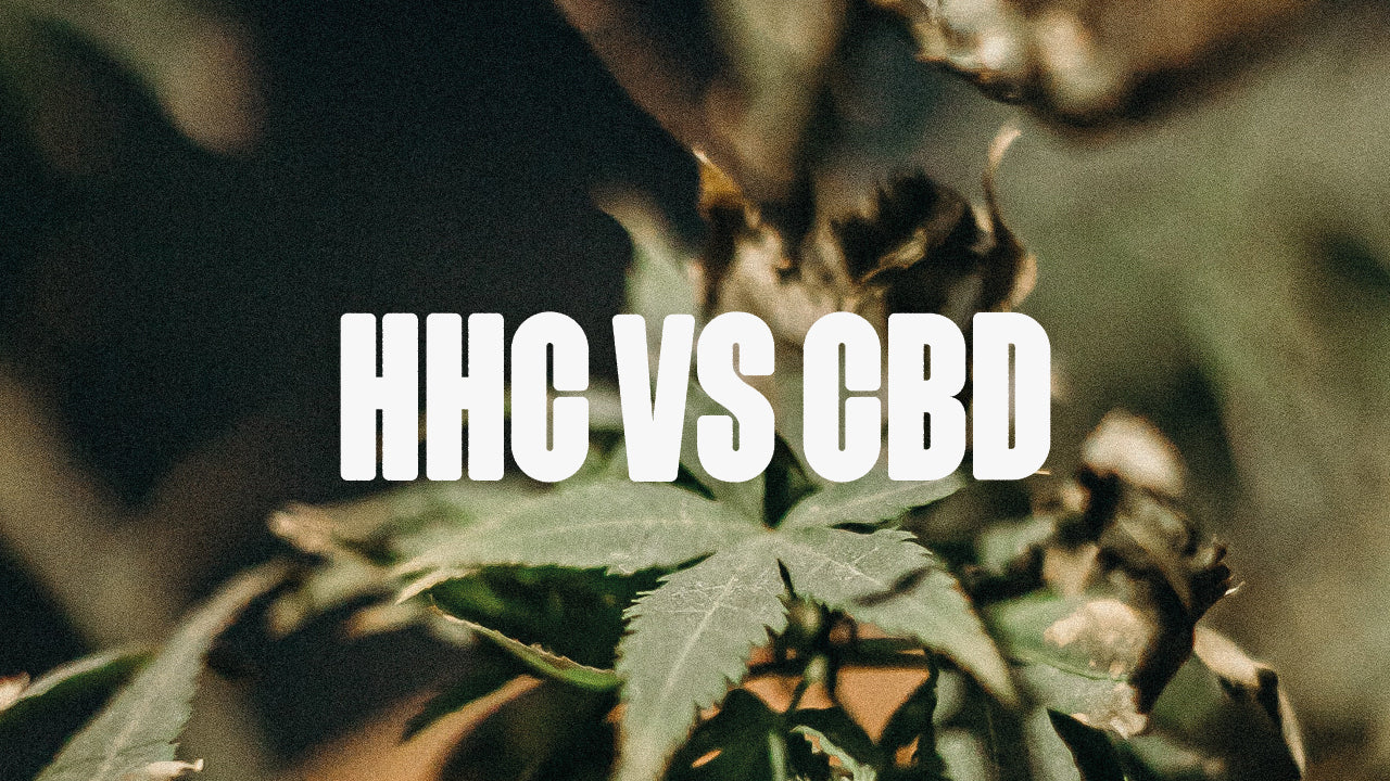 HHC vs CBD: Welches Cannabinoid ist das Richtige für mich? - Happy420.de