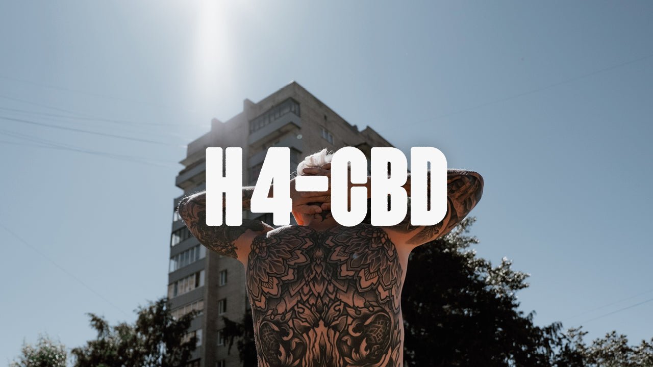 H4-CBD: Der große Bruder von CBD? - Happy420.de