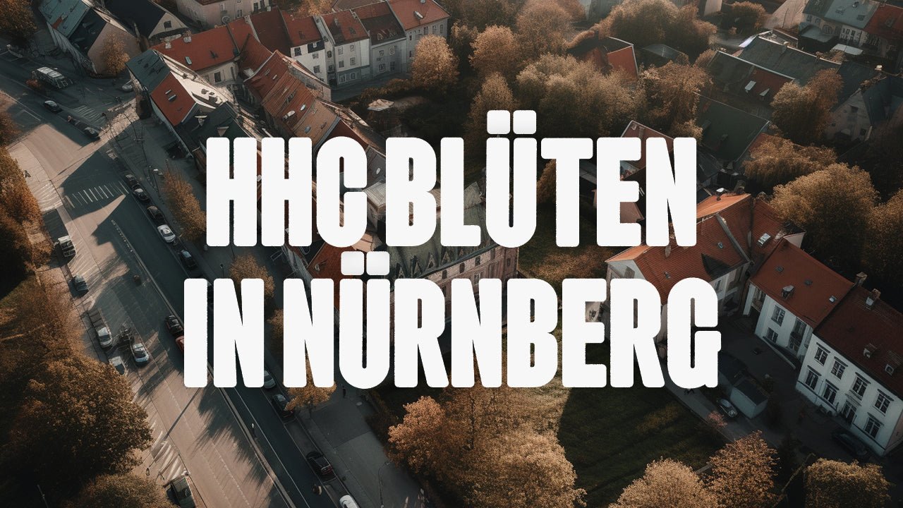 Wo kann ich HHC Blüten kaufen in Nürnberg? - Happy420.de