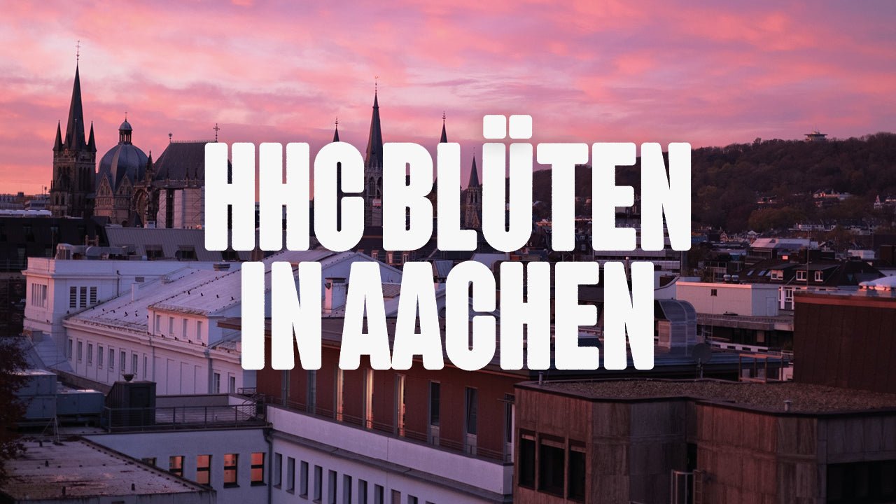 Wo kann ich HHC Blüten kaufen in Aachen? - Happy420.de