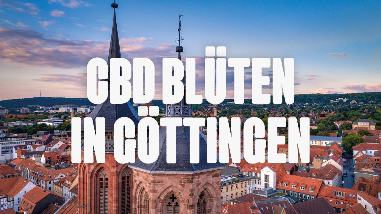 CBD in Göttingen | Was sind die beliebtesten Marken von CBD Blüten, die in Göttingen erhältlich sind? - Happy420.de