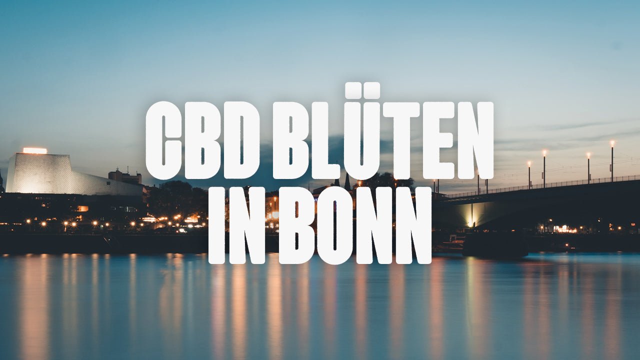 CBD in Bonn | Was sind die beliebtesten Marken von CBD Blüten, die in Bonn erhältlich sind? - Happy420.de