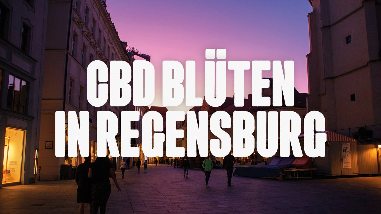 CBD in Regensburg | Was sind die beliebtesten Marken von CBD Blüten, die in Regensburg erhältlich sind? - Happy420.de