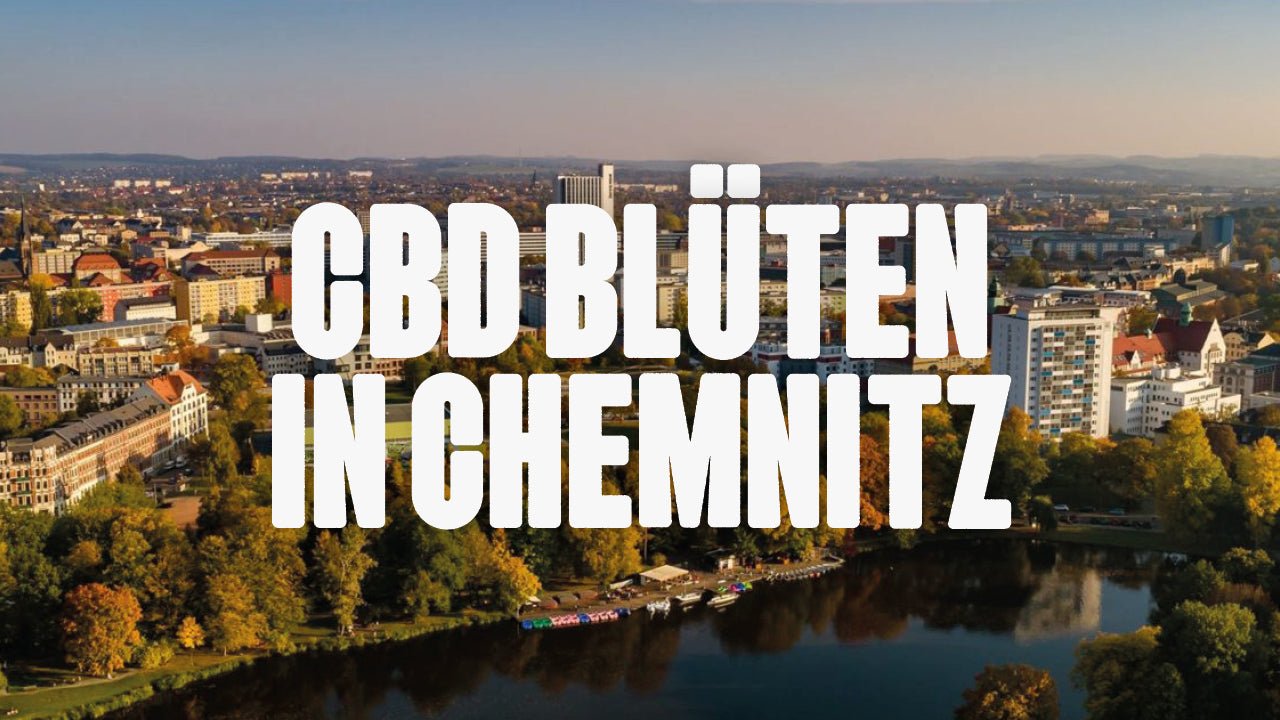 CBD in Chemnitz | Was sind die beliebtesten Marken von CBD Blüten, die in Chemnitz erhältlich sind? - Happy420.de