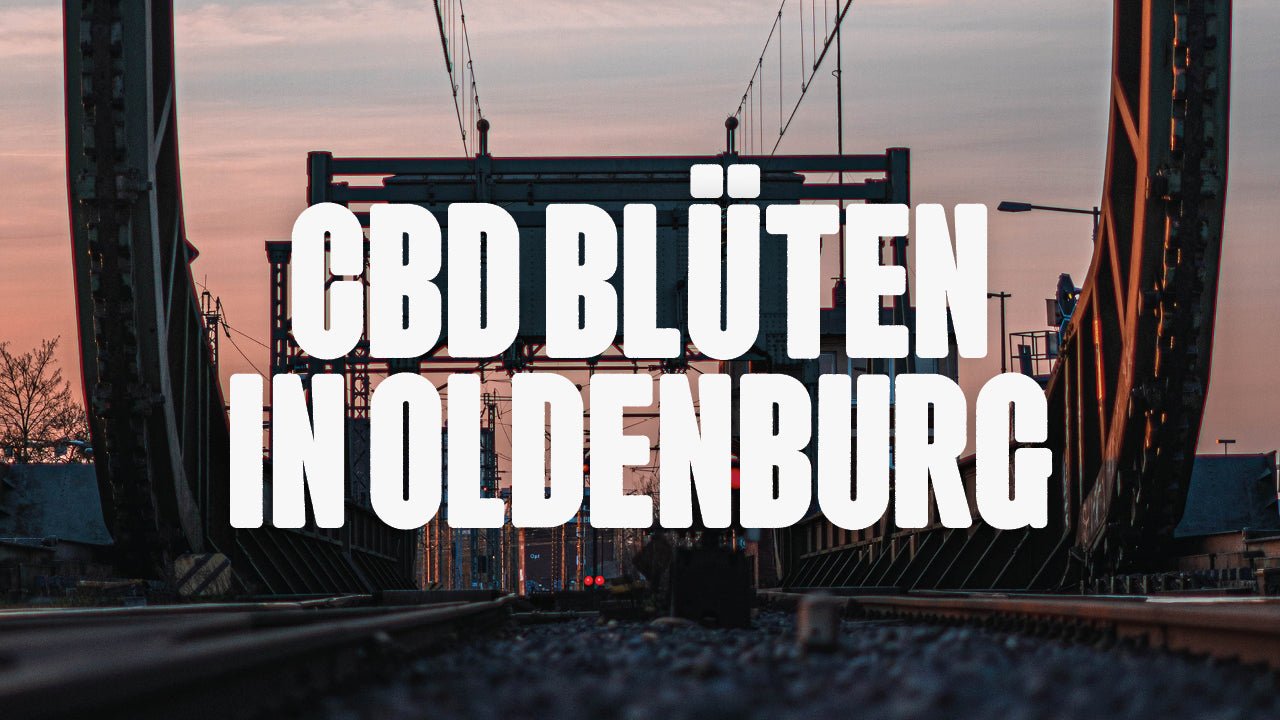CBD in Oldenburg | Was sind die beliebtesten Marken von CBD Blüten, die in Oldenburg erhältlich sind? - Happy420.de