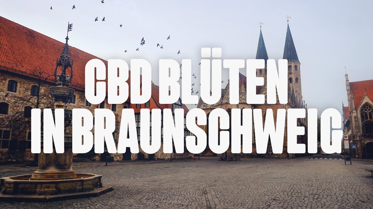 CBD in Braunschweig | Was sind die beliebtesten Marken von CBD Blüten, die in Braunschweig erhältlich sind? - Happy420.de