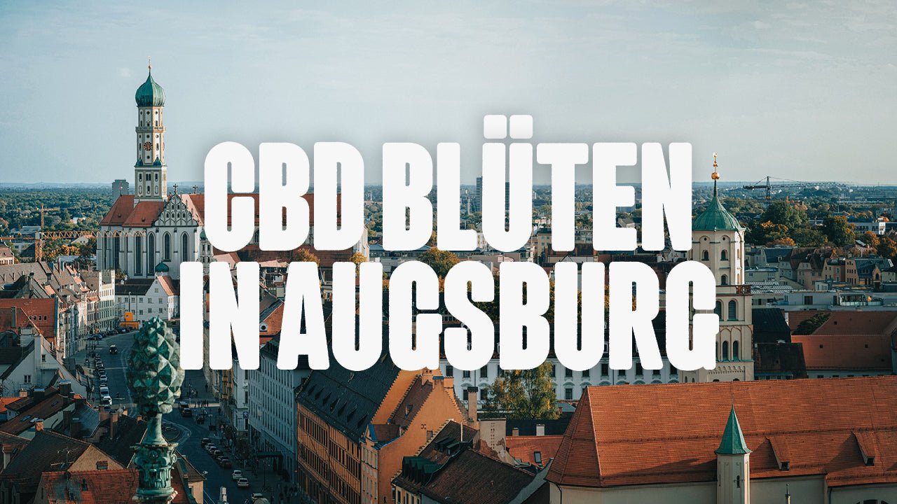 CBD in Augsburg | Was sind die beliebtesten Marken von CBD Blüten, die in Augsburg erhältlich sind? - Happy420.de