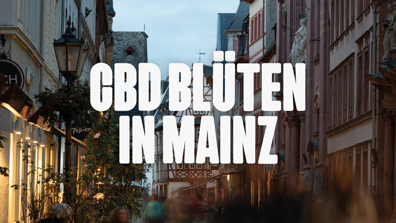 CBD in Mainz | Was sind die beliebtesten Marken von CBD Blüten, die in Mainz erhältlich sind? - Happy420.de