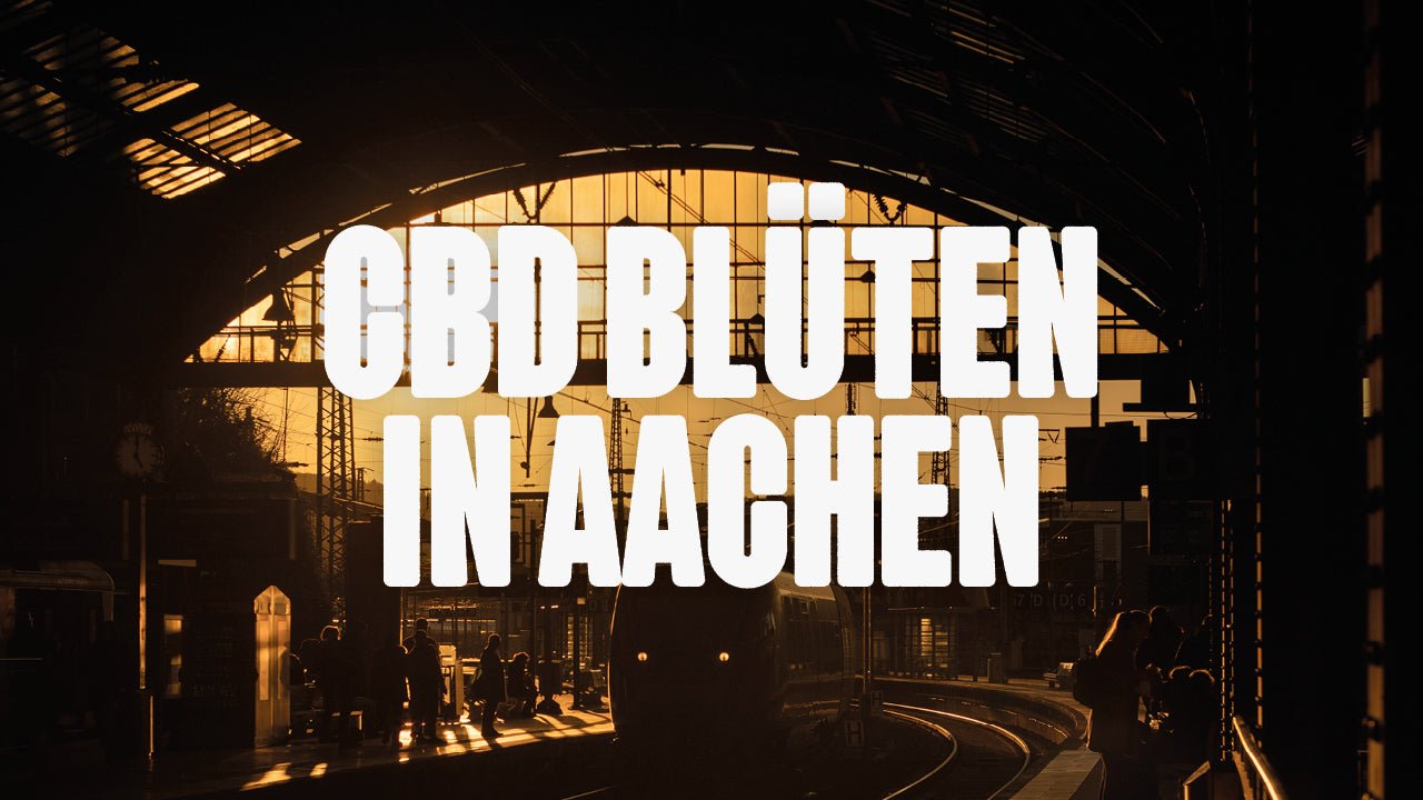CBD in Aachen | Was sind die beliebtesten Marken von CBD Blüten, die in Aachen erhältlich sind? - Happy420.de