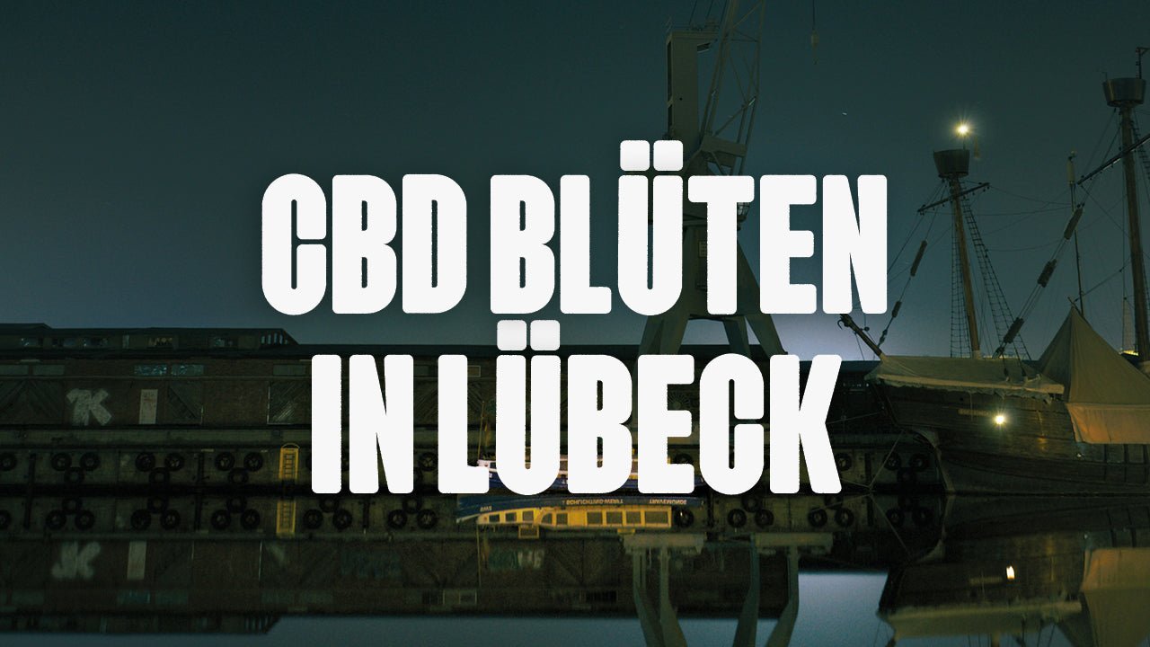 CBD in Lübeck | Was sind die beliebtesten Marken von CBD Blüten, die in Lübeck erhältlich sind? - Happy420.de