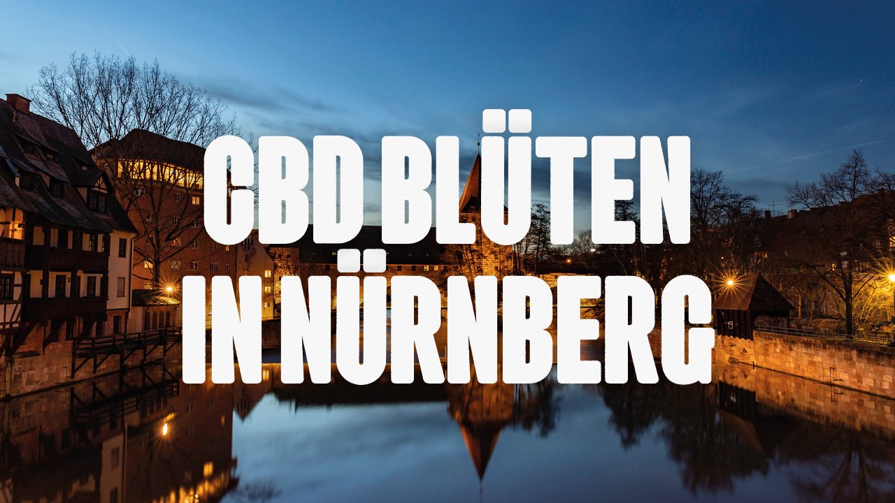 CBD in Nürnberg | Was sind die beliebtesten Marken von CBD Blüten, die in Nürnberg erhältlich sind? - Happy420.de