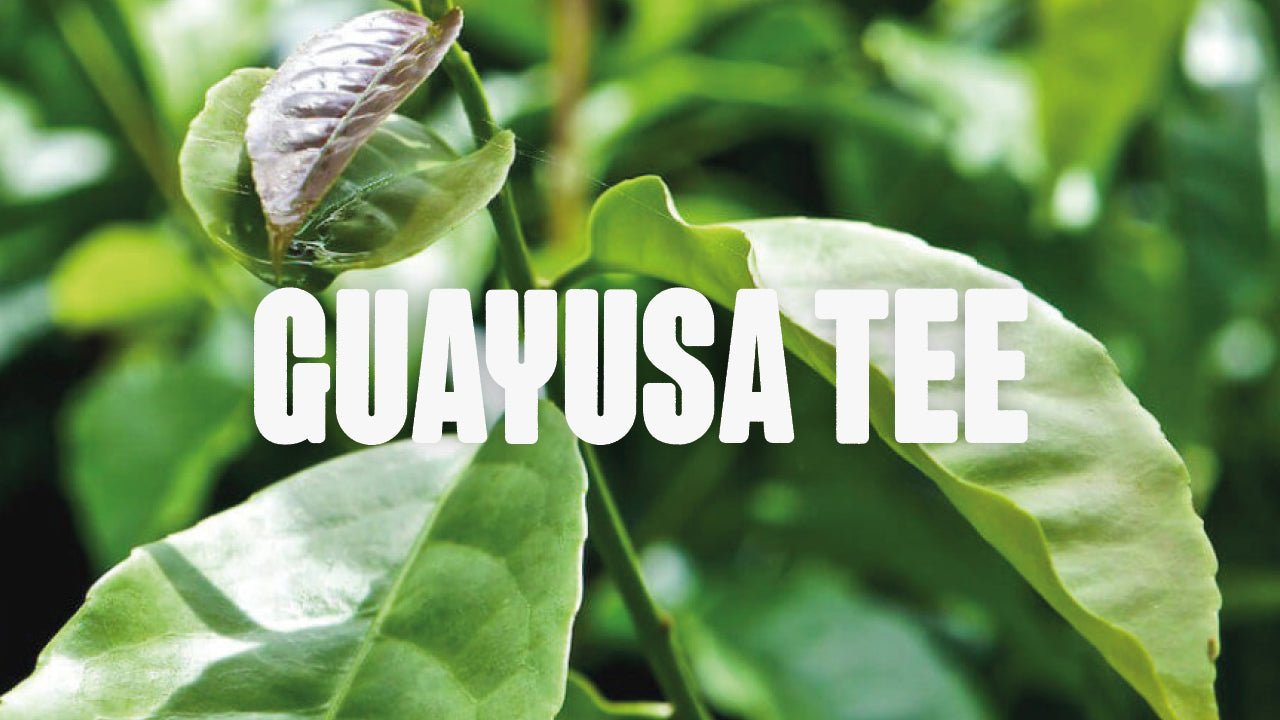 Guayusa - Der energetisierende power Tee - Happy420.de