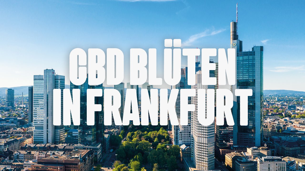 CBD in Frankfurt am Main | Was sind die beliebtesten Marken von CBD Blüten, die in Frankfurt am Main erhältlich sind? - Happy420.de